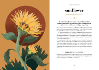 Gallery preview