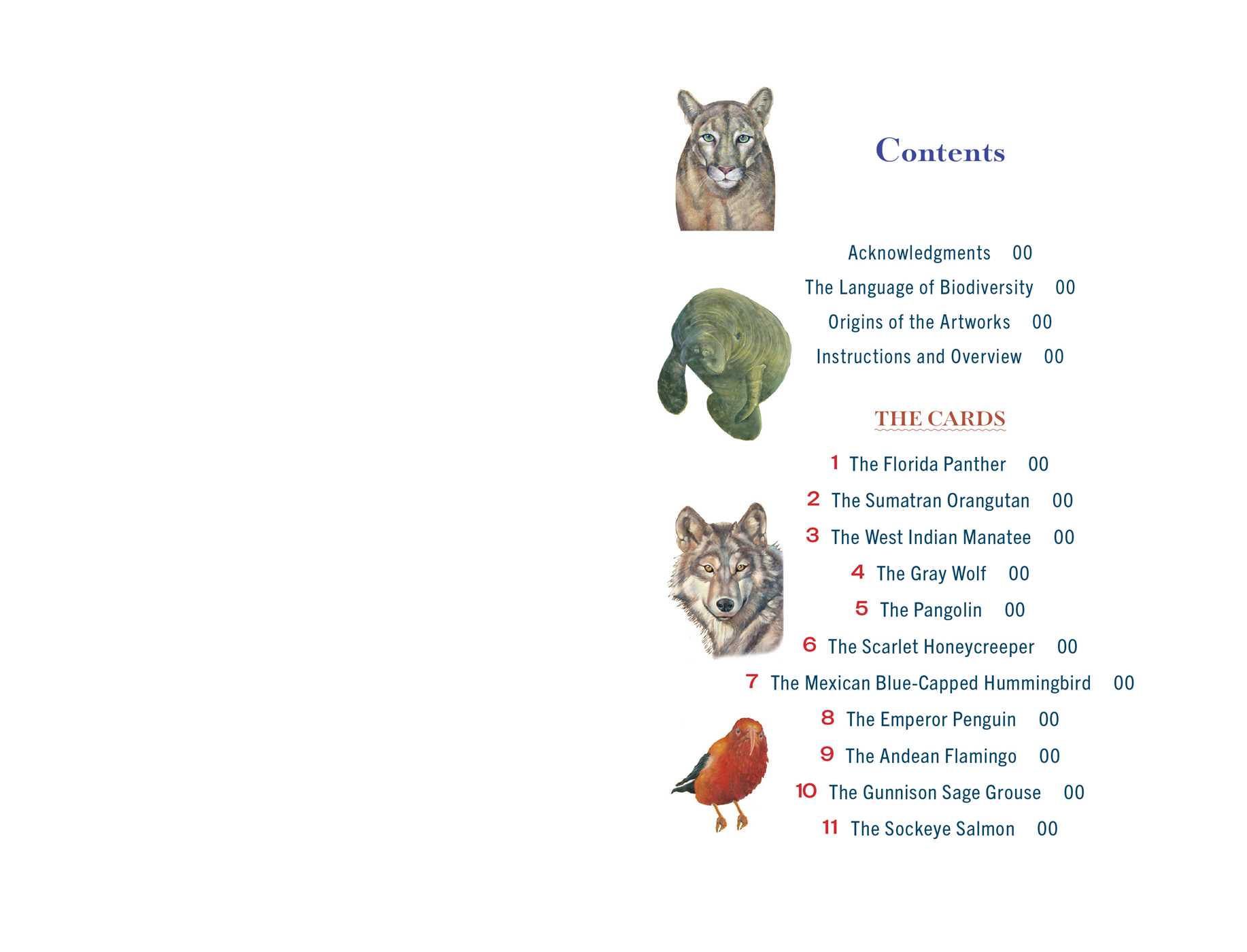 Gallery preview