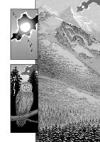 Gallery preview