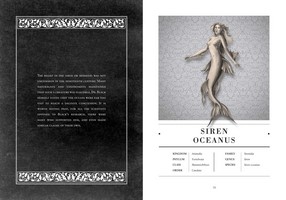 Gallery preview