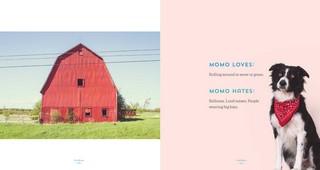 Gallery preview