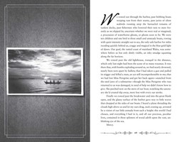 Gallery preview