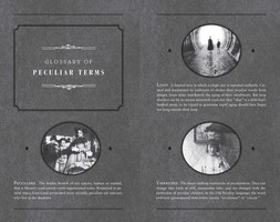 Gallery preview