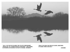 Gallery preview