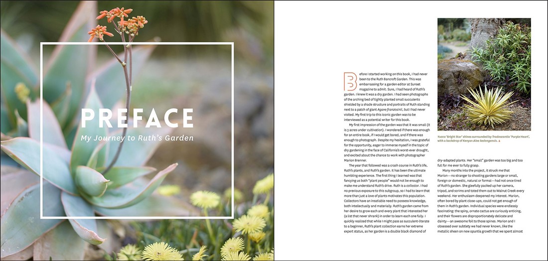 The Bold Dry Garden by Johanna Silver 9781604696707 Booktopia