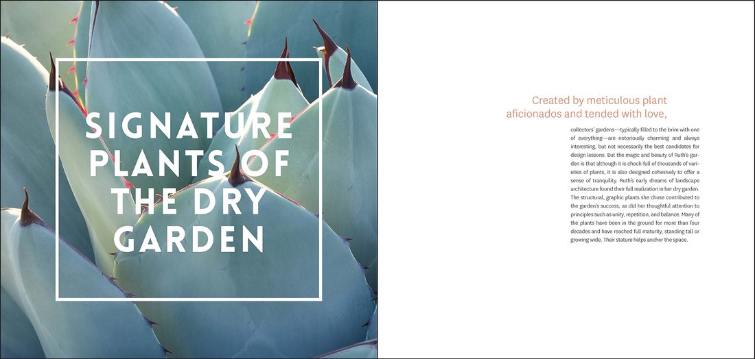 The Bold Dry Garden by Johanna Silver 9781604696707 Booktopia