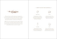 Gallery preview