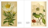 Gallery preview