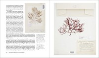 Gallery preview