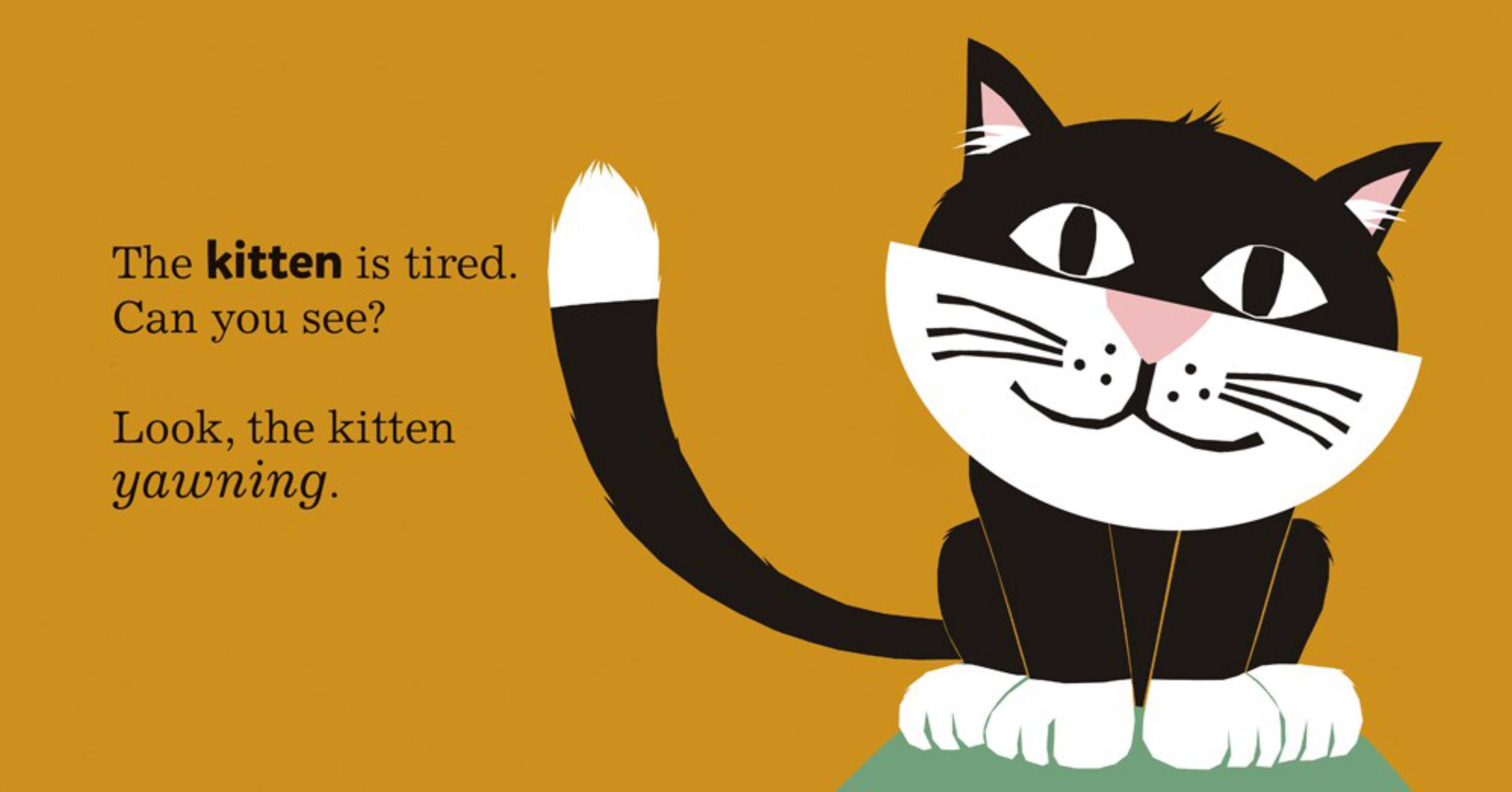 Everyone is Yawning by Anita Bijsterbosch 9781605372273 Booktopia