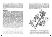 Gallery preview