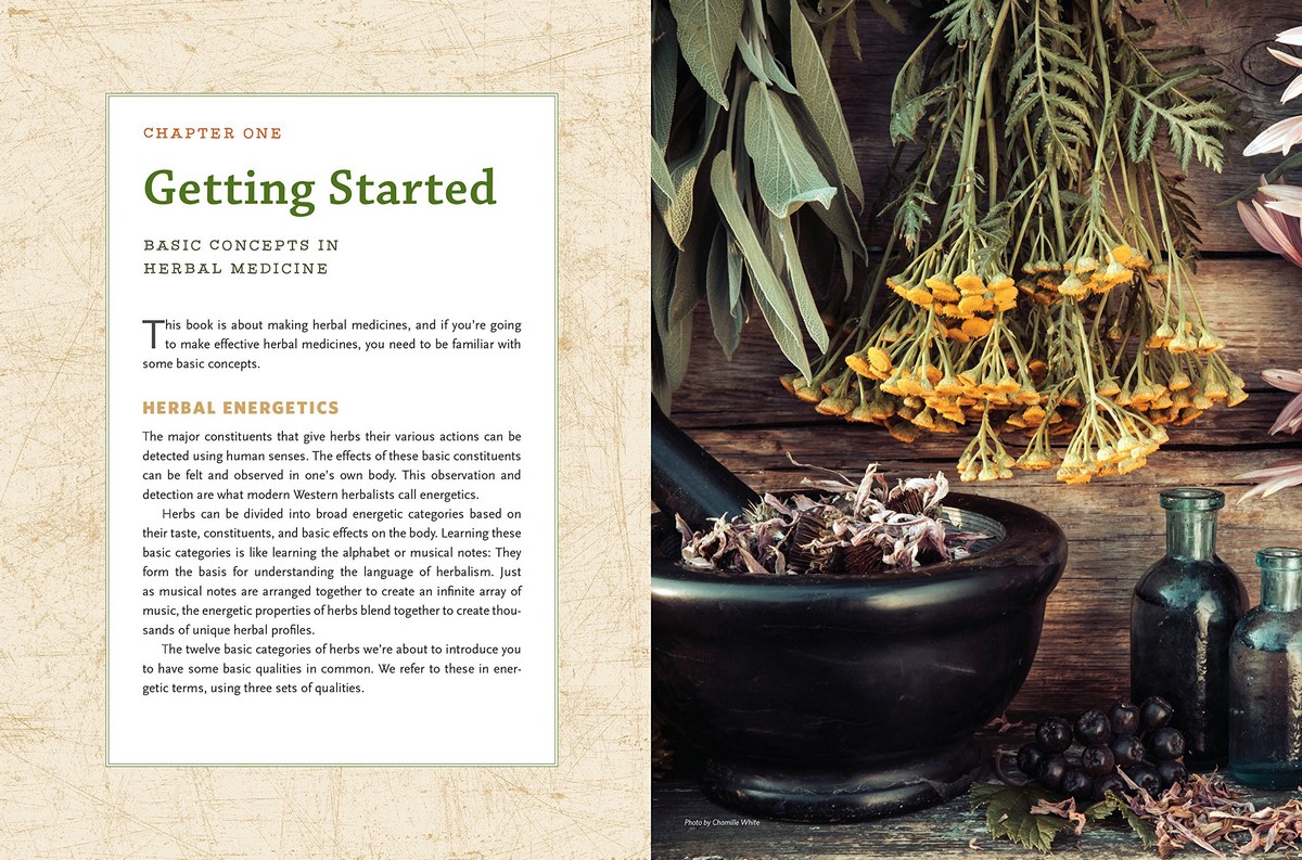 The Modern Herbal Dispensatory, A MedicineMaking Guide by Thomas