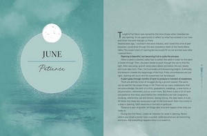Gallery preview