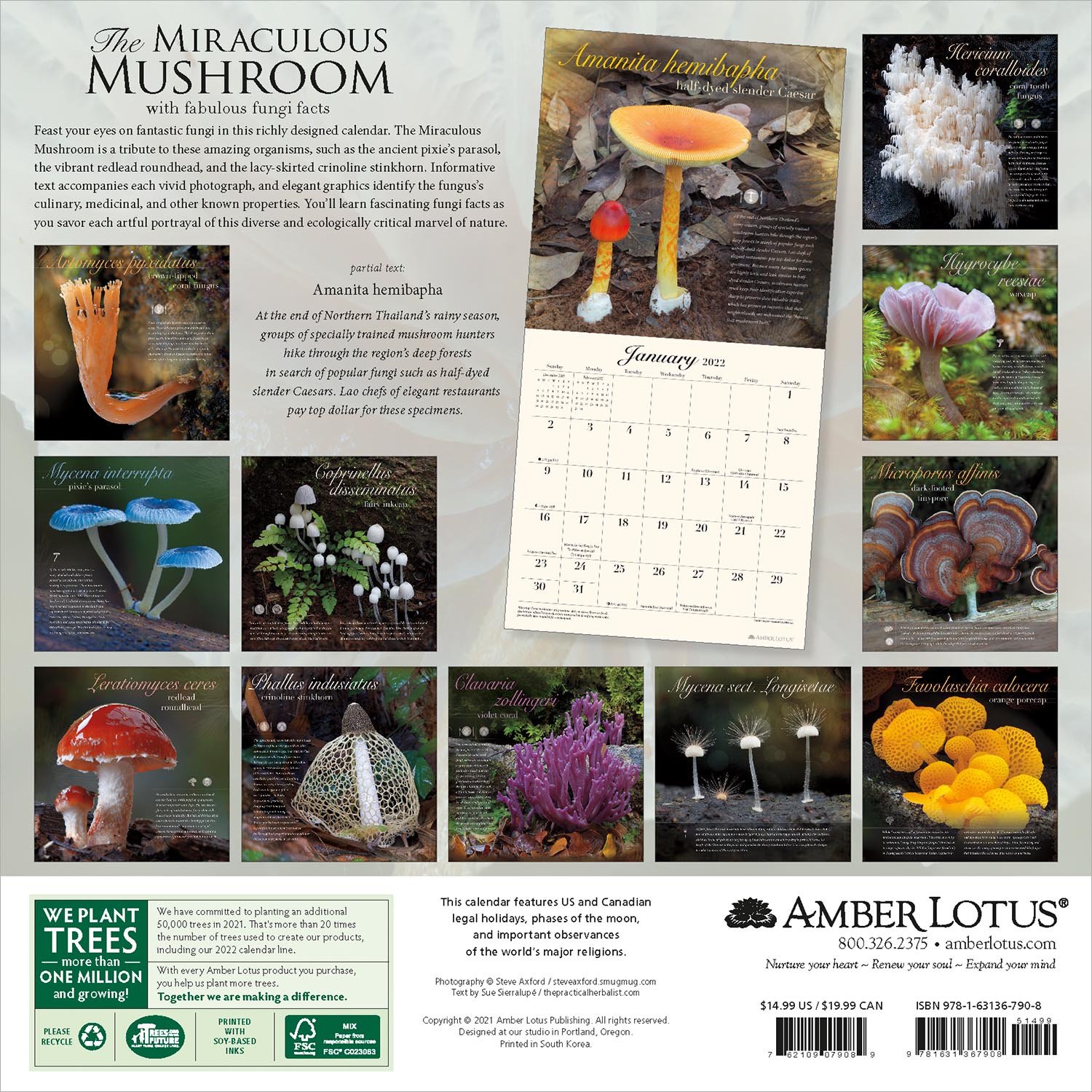 The Miraculous Mushroom 2022 Wall Calendar, With Fabulous Fungi Facts
