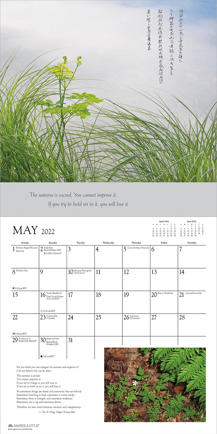 Tsu Calendar 2022 Tao - 2022 Wall Calendar, Selections From The Tao Te Ching And Chuang Tsu:  Inner Chapters By Jane English | 9781631368035 | Booktopia