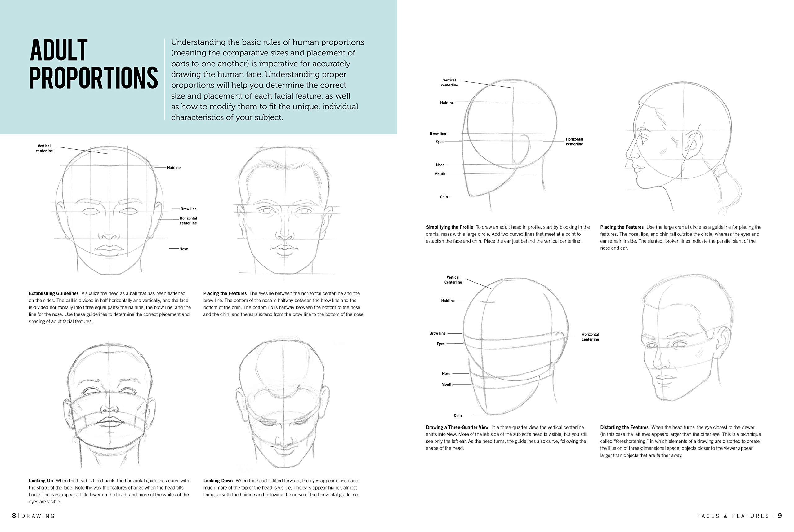 Drawing Faces and Features, Learn To Draw Step By Step by Debra