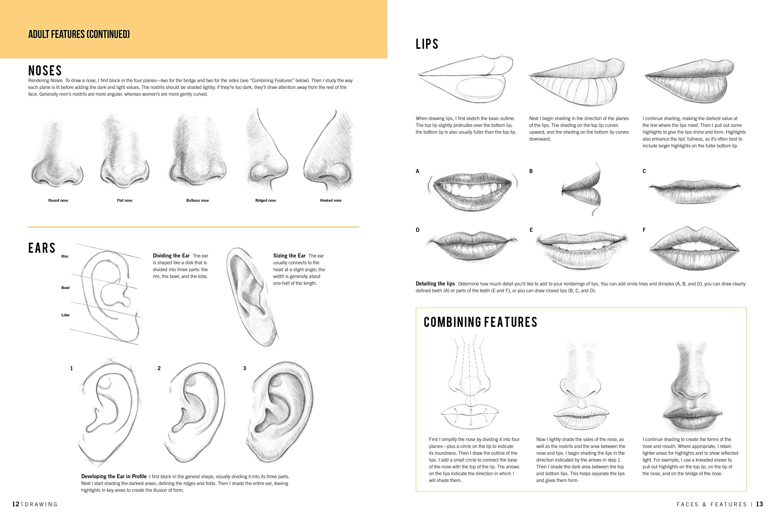 Drawing Faces and Features, Learn To Draw Step By Step by Debra