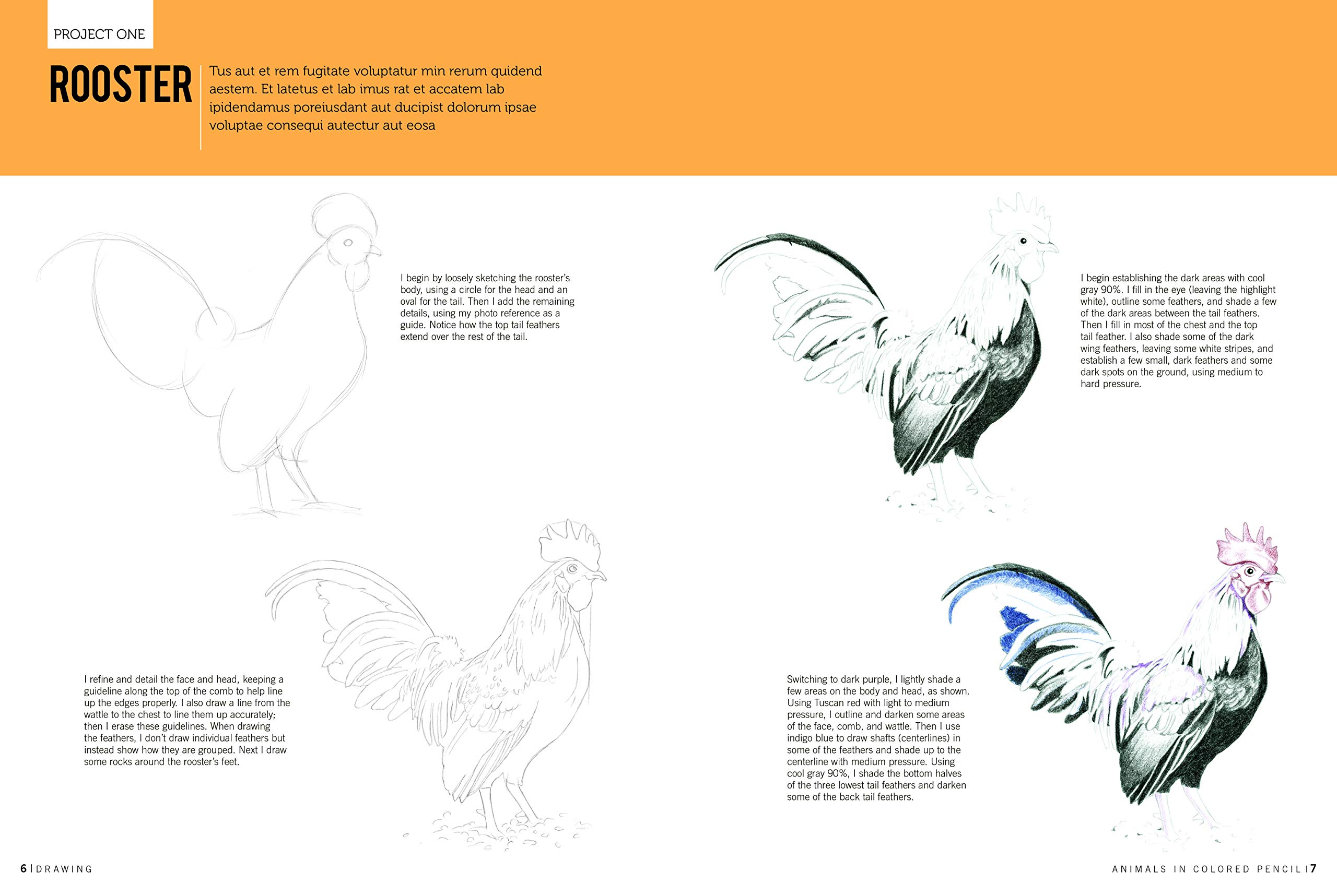 Drawing : Animals in Colored Pencil, Learn to Draw with Colored Pencil ...