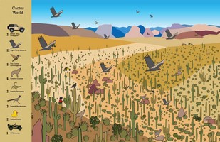 Gallery preview