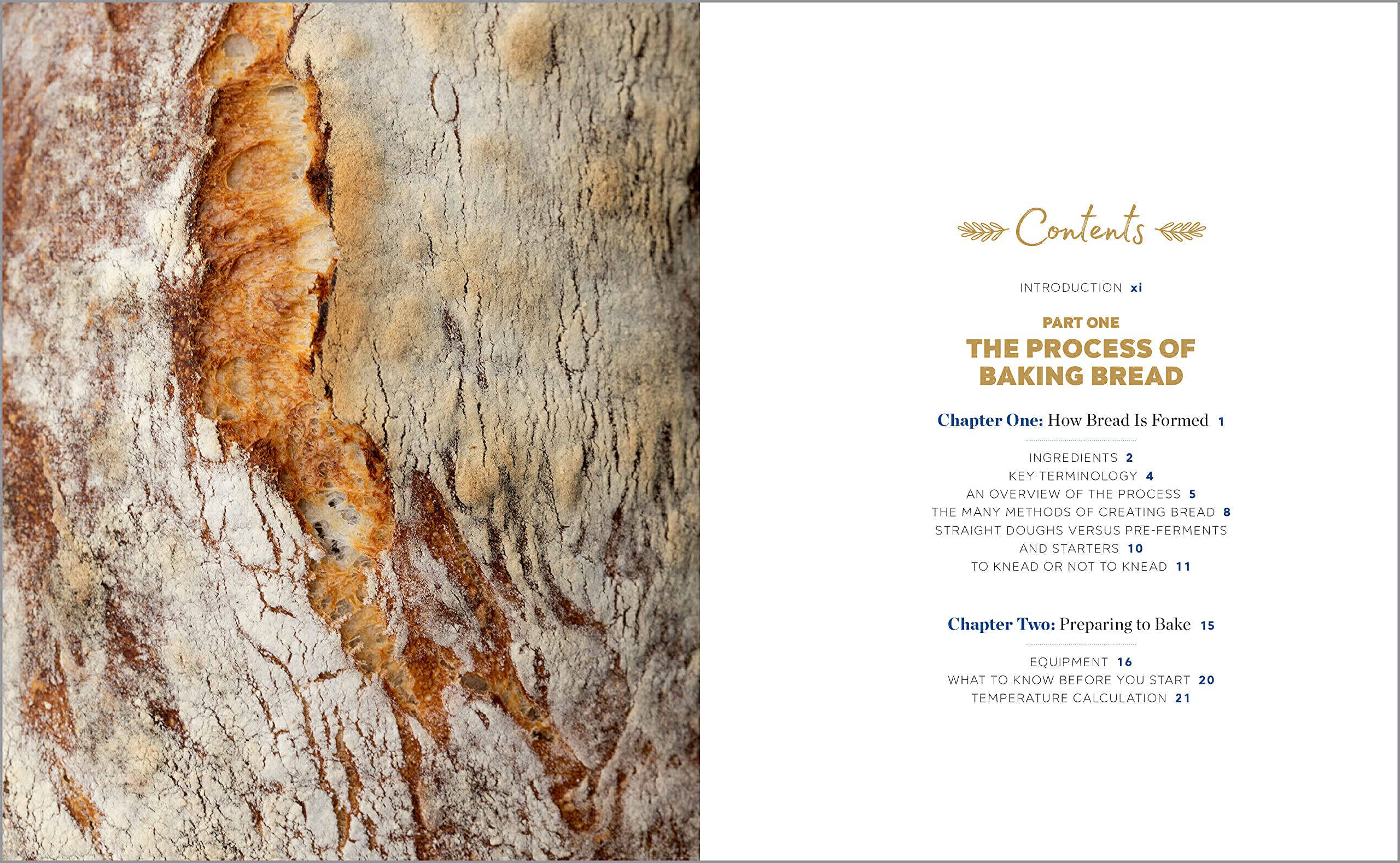 Bread Baking for Beginners by Bonnie Ohara The Essential Guide to