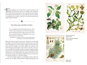 Gallery preview