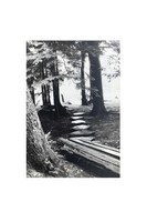 Gallery preview
