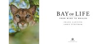 Gallery preview