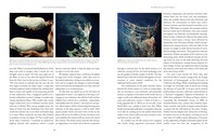 Gallery preview