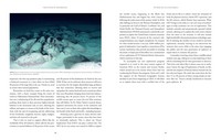 Gallery preview
