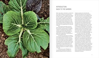 Gallery preview