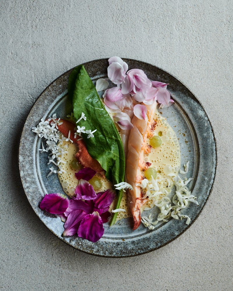 NOMA 2.0 /René Redzepi ノーマ/レネレゼピ Noma 2.0 by Rene Redzepi | Vegetable, Forest, Ocean