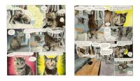 Gallery preview