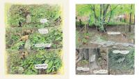 Gallery preview