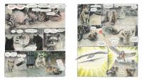 Gallery preview