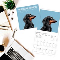 Judgmental Dogs 2027 Square Wall Calendar by Graphique de France ...