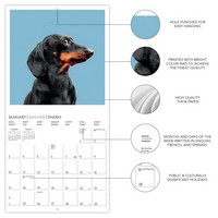 Judgmental Dogs 2027 Square Wall Calendar by Graphique de France ...