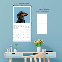 Judgmental Dogs 2027 Square Wall Calendar by Graphique de France ...