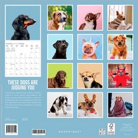 Judgmental Dogs 2027 Square Wall Calendar by Graphique de France ...