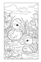 Gallery preview