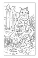 Gallery preview