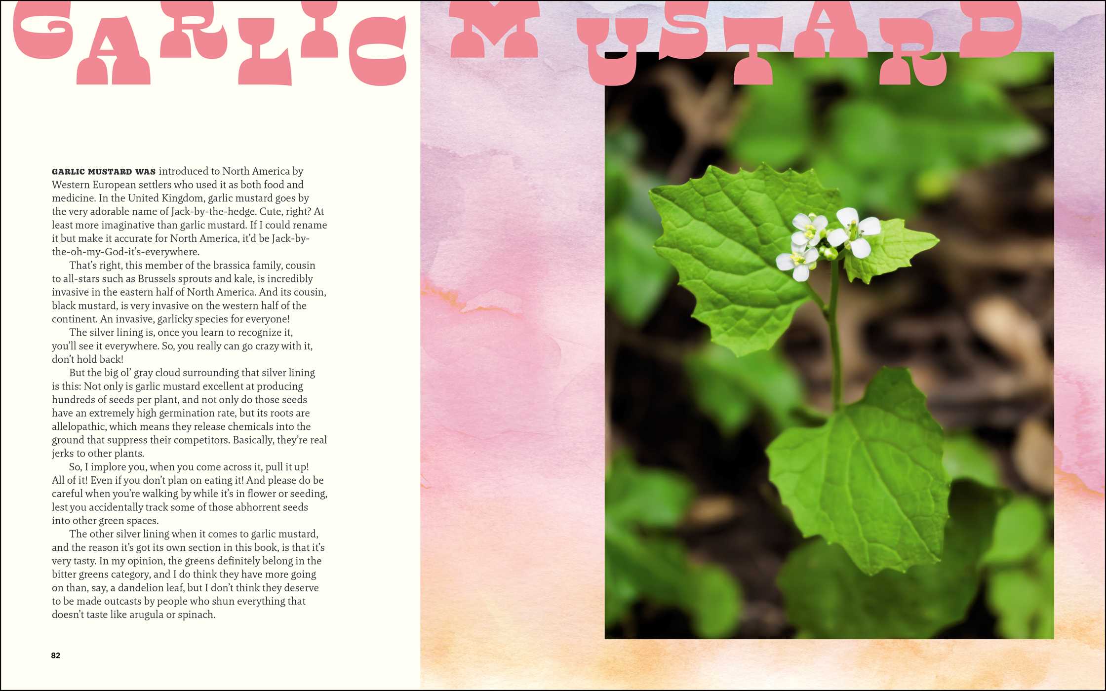Gallery preview
