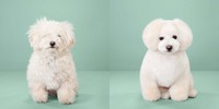 Gallery preview