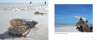 Gallery preview