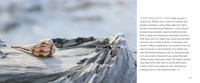 Gallery preview