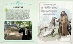 Gallery preview