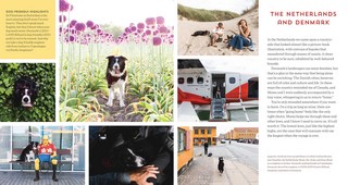 Gallery preview
