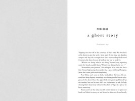 Gallery preview