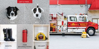 Gallery preview