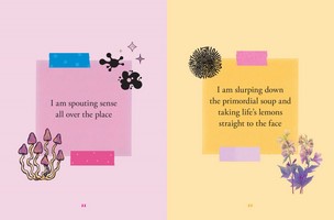 Gallery preview