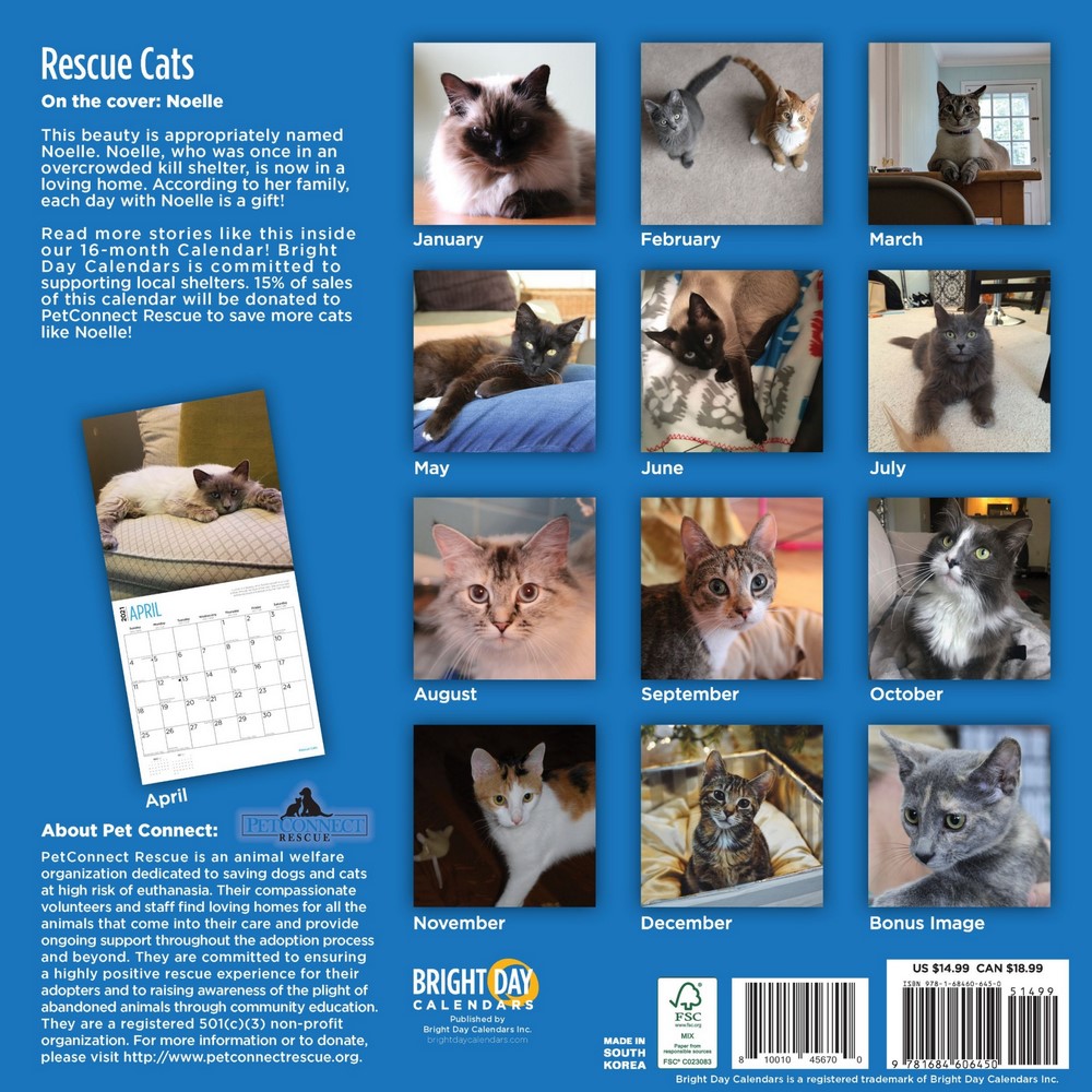 Rescue Cats - 2021 Wall Calendar, Calendars For A Cause by Bright Day ...